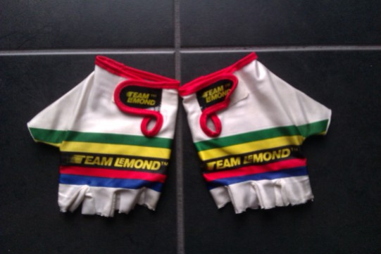Team LeMond gloves